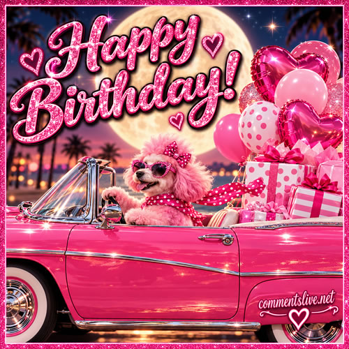 Bday Pink Poodle