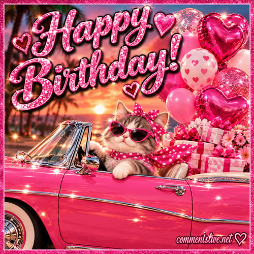 Cat Pink Car