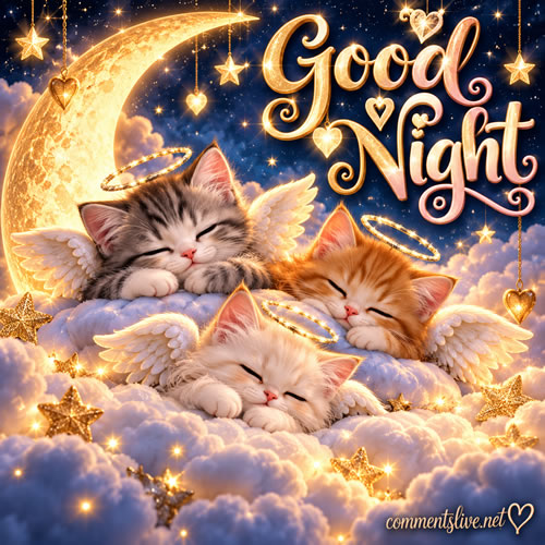 Cat Angels