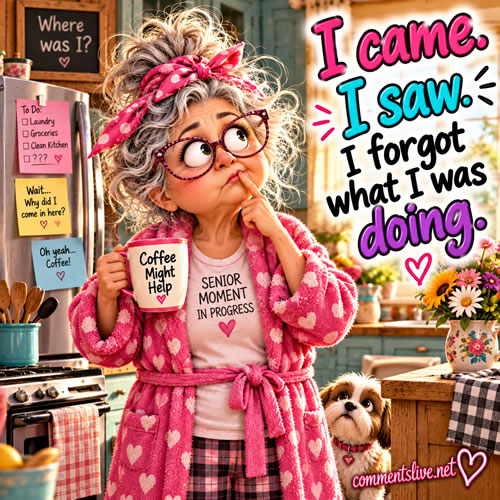 Came Saw Forgot