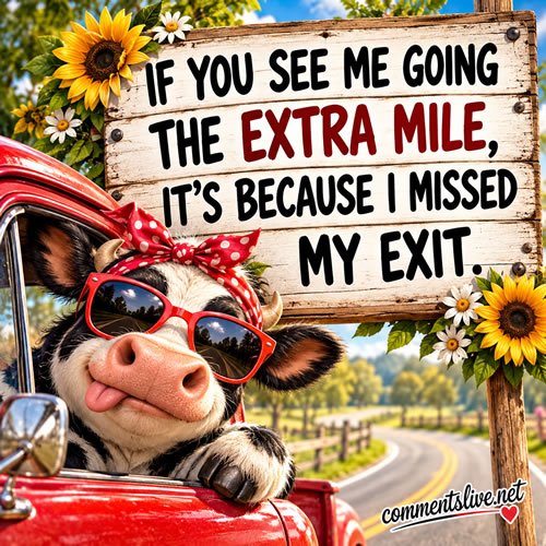 Extra Mile Missed Exit Image