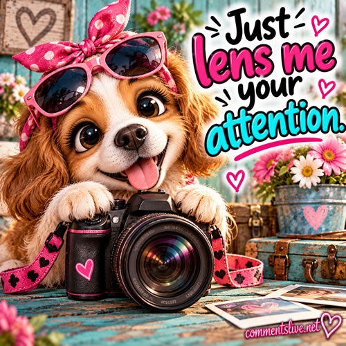 Lens Attention