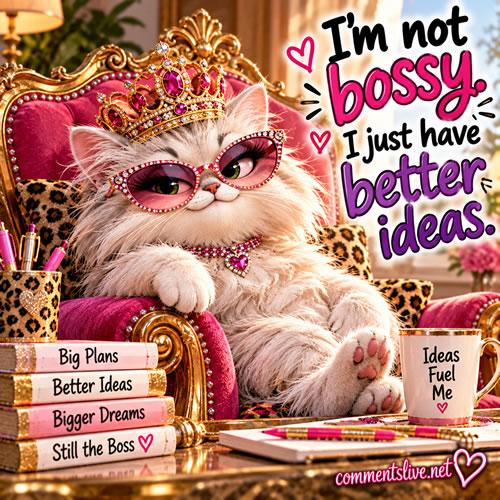 Queen Cat