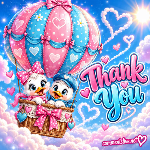Ducks In Balloon Image