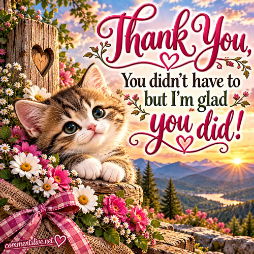 Glad You Did Image