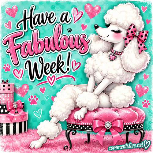 Fab Week Poodle