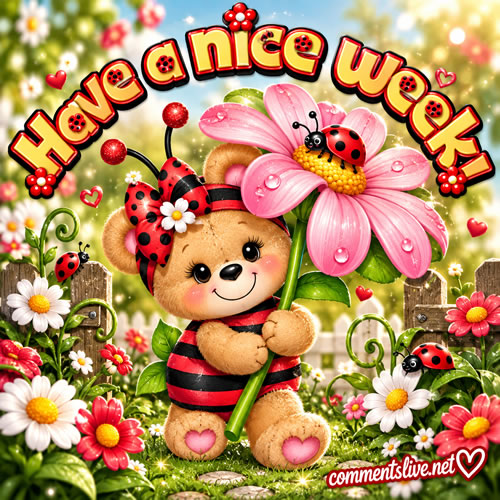 Ladybug Bear